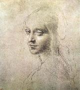LEONARDO da Vinci Head of a girl Sweden oil painting artist